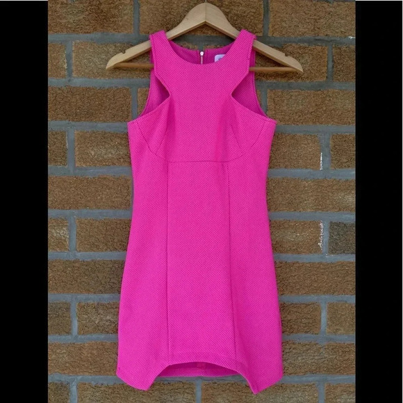 Sabo skirt hot pink mini dress size 2 - Picture 2 of 10